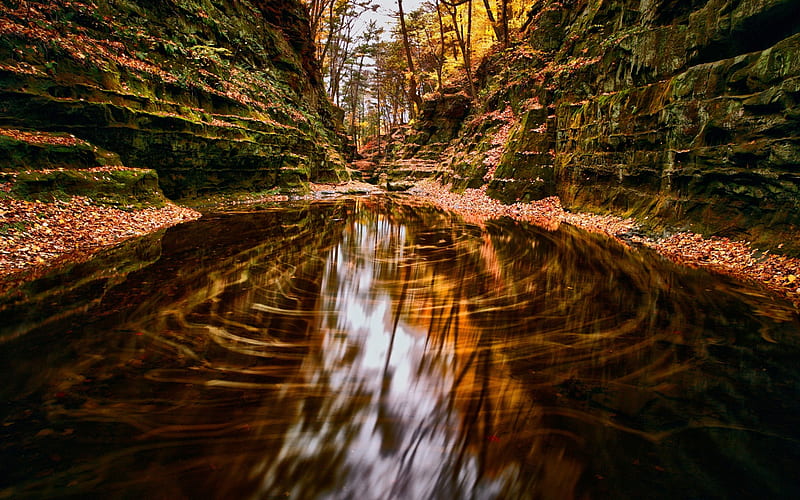 Dark Canyon, autumn, mountain river, yellow leaves, rocks, forest, Baraboo, Wisconsin, USA, HD wallpaper
