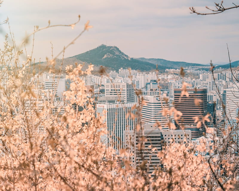 Seoul, Seoul Landscape, HD wallpaper