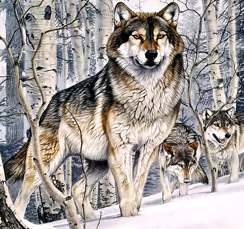 Second Glance - Wolf, lobo, art, bonito, illustration, artwork, canine, animal, painting, wide screen, wildlife, nature, wolf, HD wallpaper Second Glance - Wolf, lobo, art, bonito, illustration, artwork, canine, animal, painting, wide screen, wildlife, nature, wolf, HD wallpaper