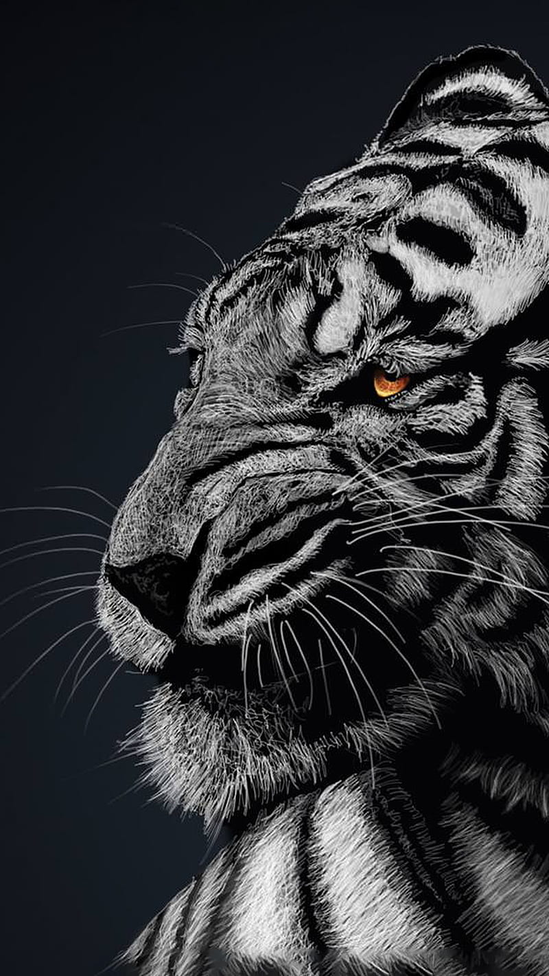 Tiger , animal, lion, wild, HD phone wallpaper