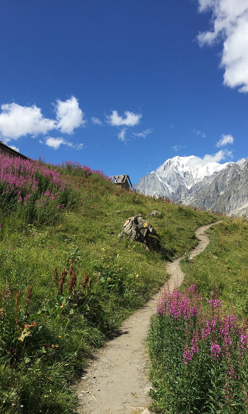 The mountain path, alps, landscape, montblanc, mountains, nature, summer, trek, trekking, HD phone wallpaper