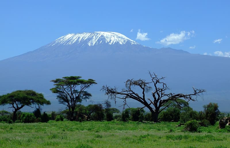 Landscape, Nature, Tree, , Volcano, Africa, Mount Kilimanjaro, Kilimanjaro, HD wallpaper