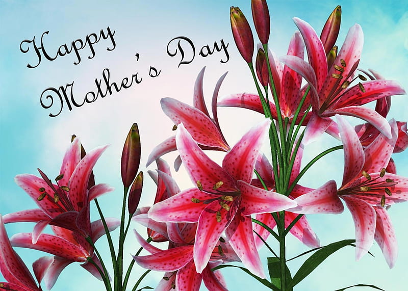Mothers day flowers, day, mothers, sunday, may, flowers, HD wallpaper