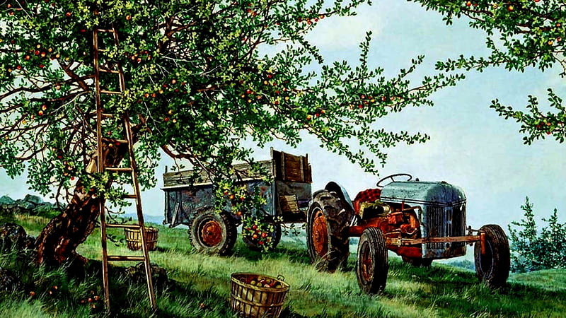 Tractor And Apple Pick Time, Apples, Clouds, Ladder, Tractor, Sky, Grass, HD wallpaper