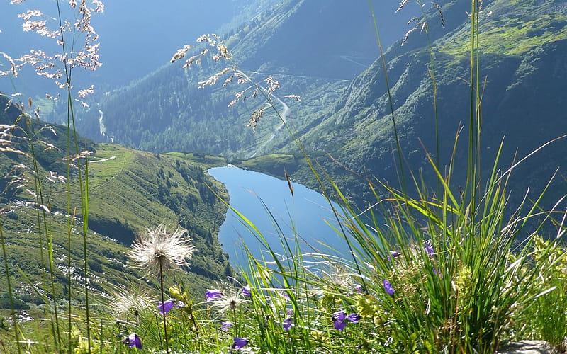 Alpine Lake, green, lake, mountains, meadow, HD wallpaper