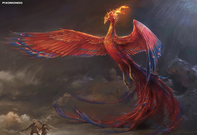 Phoenix, red, wings, wei guan, fantasy, bird, pasari, blue, HD wallpaper |  Peakpx