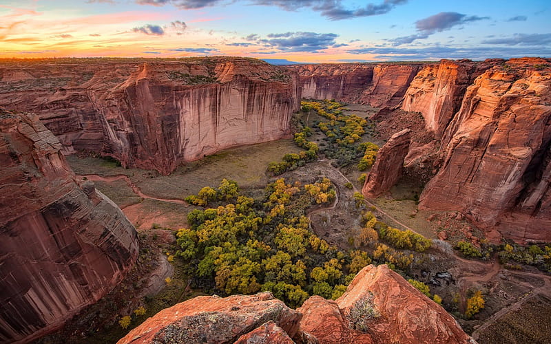 forest, usa, canyon, america, desert, sunset, HD wallpaper