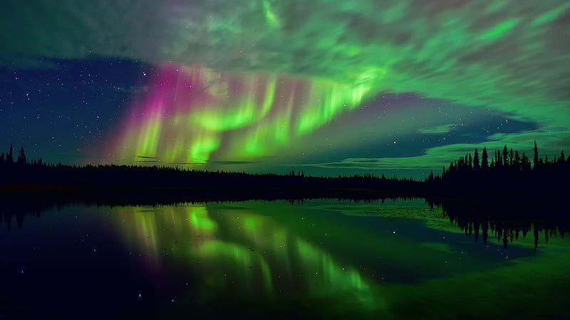 northern lights and stars-Nature, HD wallpaper