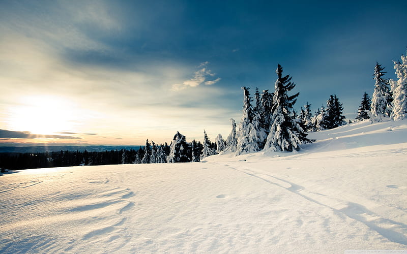 winter sun- winter scenery, HD wallpaper