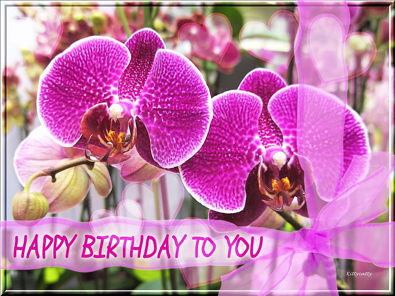 tarjeta de cumpleaños de orquídeas • ~ •, cinta, lazo, collage, tarjeta de  cumpleaños, Fondo de pantalla HD | Peakpx