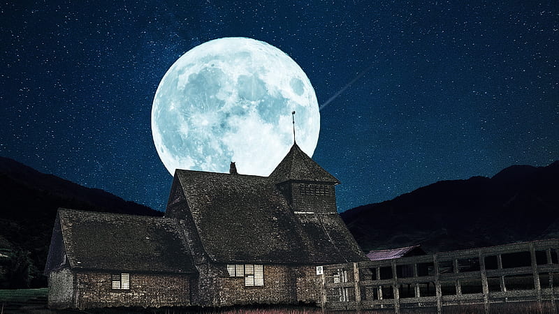 Moonlight, fantasy, moon, house, roof, moon, pisici, cat, night, luminos, HD wallpaper
