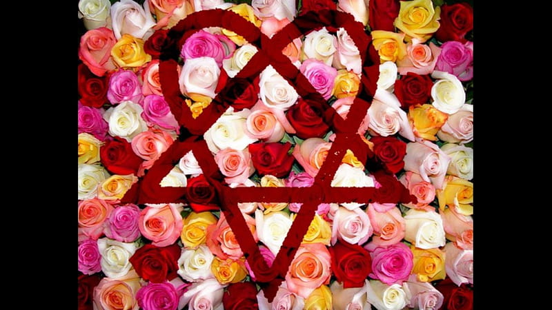 Heartagram & Roses, Love, band, HIM, Heartagram, roses, Logo, HD wallpaper