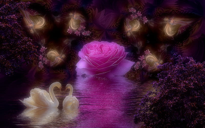 Rare Magic Rose (WDS), colorful, , rose, 3d and cg, wds, magic, swans, rose-rose, 3d, HD wallpaper
