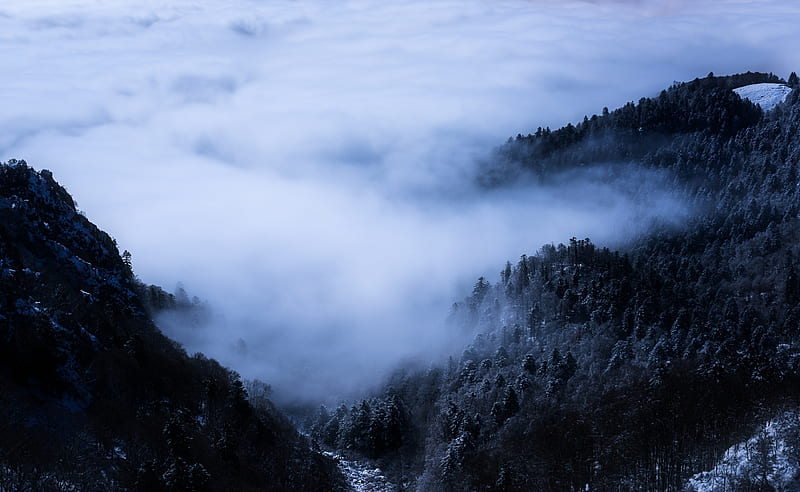 Sea of Clouds, Mountain Ultra, Europe, France, Moon, Landscape, Night, Mountain, Mist, Cold, Snow, Clouds, Fall, full moon, long exposure, november, nikon, alsace, Lightroom, nightscape, mountainpeak, D810, Vosges, Hautes Vosges, Natural light, Sea of clouds, Super moon, HD wallpaper