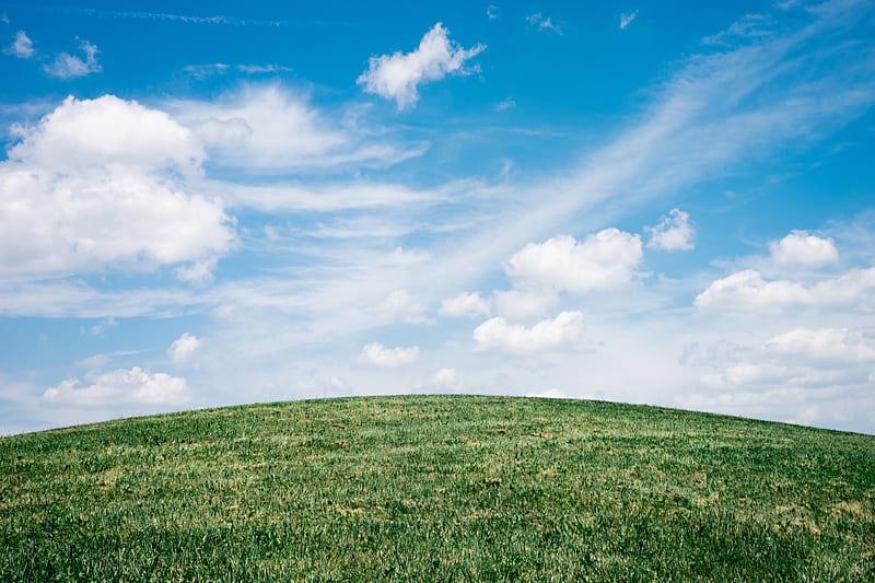 Green Grass Field Under White Clouds, HD wallpaper
