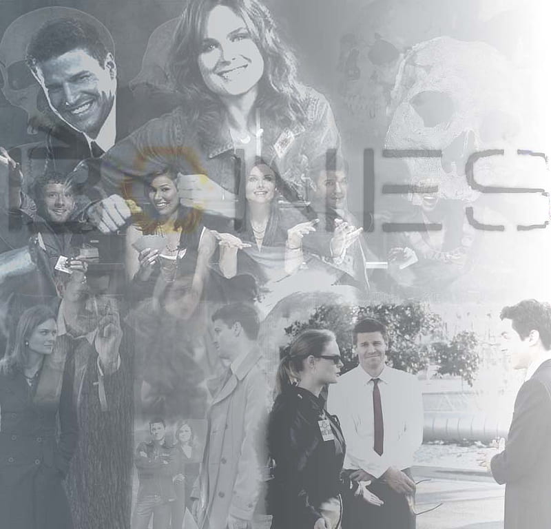 TV Show Bones HD Wallpaper