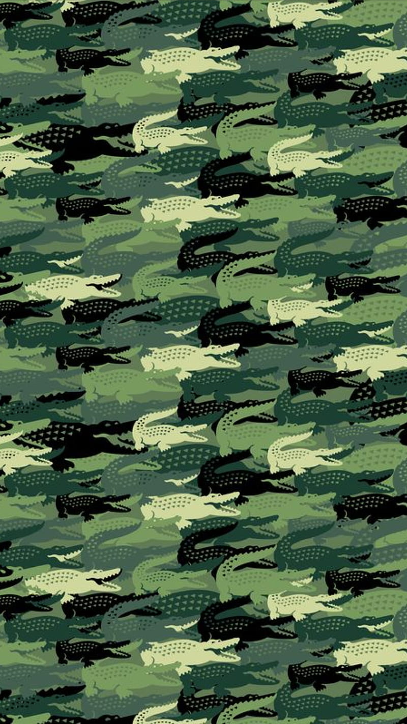 Crocodile , black, green, HD phone wallpaper