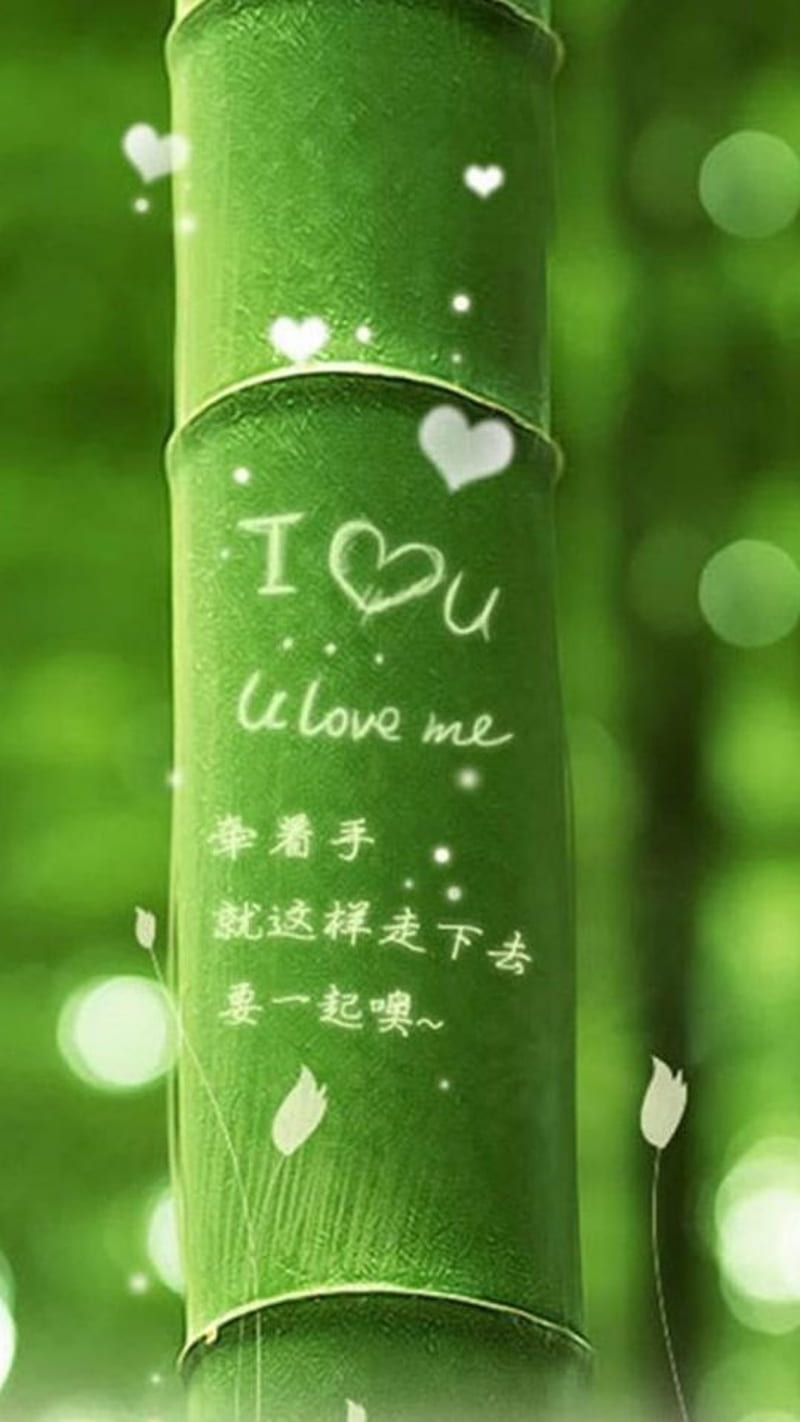 Bamboo love , i love you, HD phone wallpaper