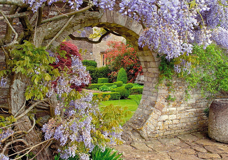 Secret garden, pretty, lovely, bonito, wisteria, stones, arch, flowers, garden, secret, HD wallpaper