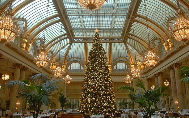 Christmas Tree, tree, christmas, dining, conservatory, chandeliers, HD wallpaper