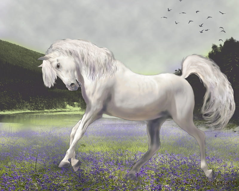Spring Fling, stallion, digital art, horse, arabian, HD wallpaper