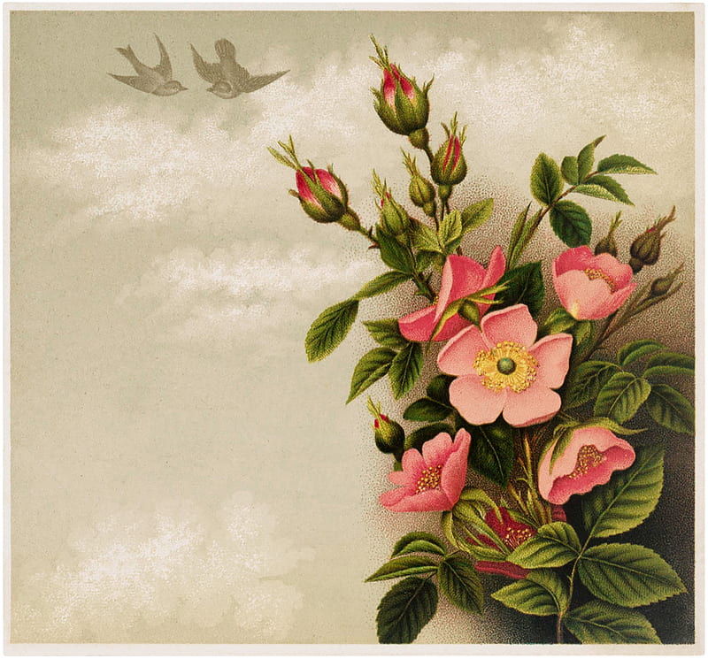 Happy Easter!, rose, wild, flower, easter, spring, pink, vintage, card, HD wallpaper