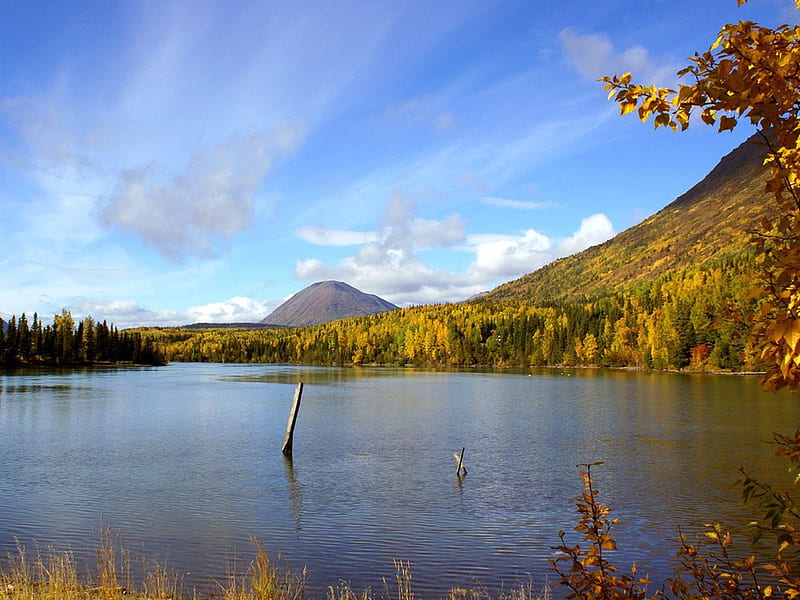 Beauty of Autumn, hills, autumn trees, splendor, blue sky, branch, lake, foliage, HD wallpaper