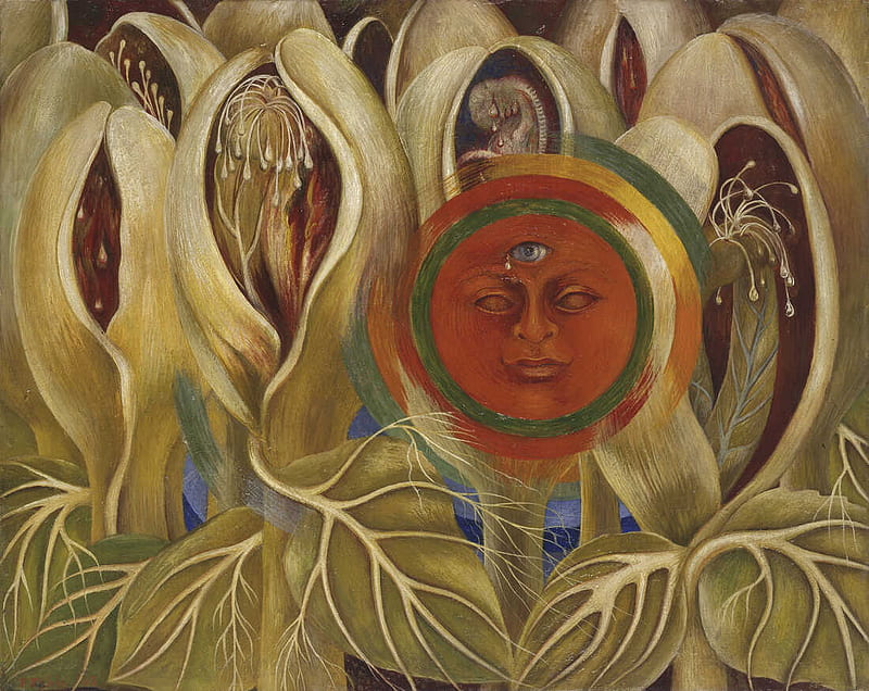 Frida Kahlo Works, Frida Kahlo Paintings Art, HD wallpaper