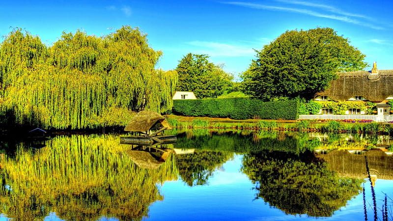 bird coop on a duck pond, pond, coop, ducks, summer, reflection, trees, HD wallpaper