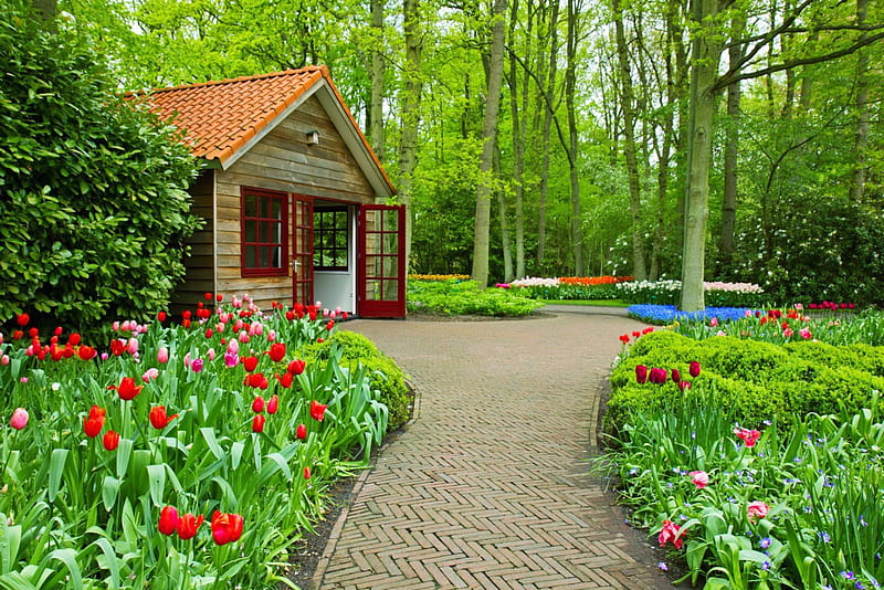 Beautiful park, house, lovely, grass, greenery, bonito, park, trees,  freshness, HD wallpaper | Peakpx