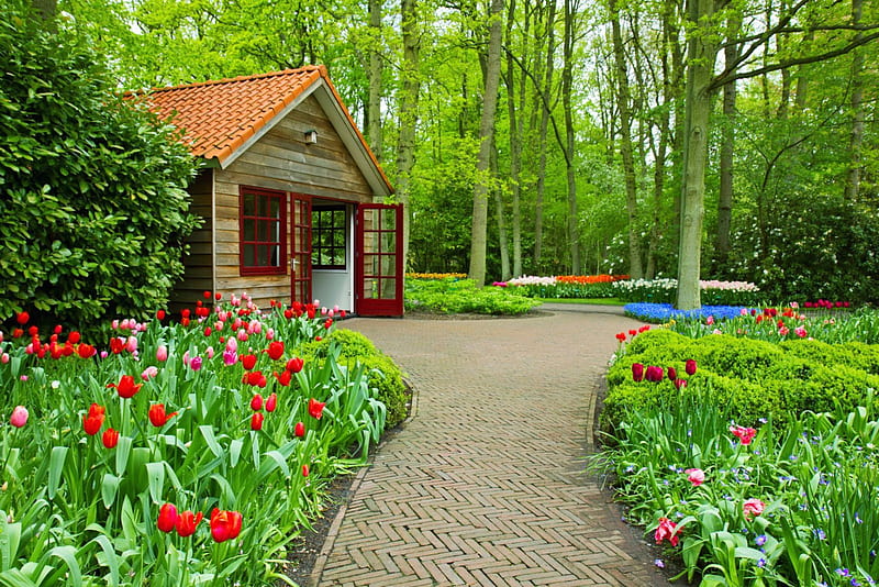 Beautiful park, house, lovely, grass, greenery, bonito, park, trees, freshness, alleys, summer, flowers, garden, nature, tulips, HD wallpaper