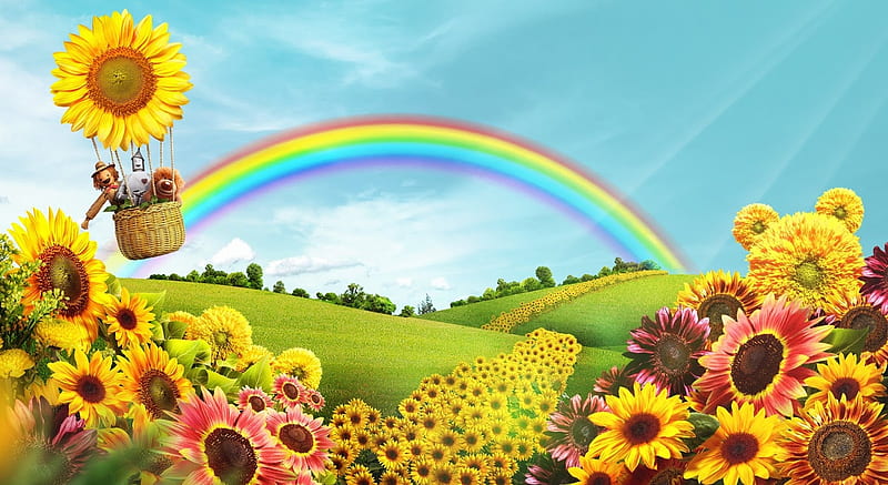 Rainbow, pretty, flowers, sun, HD wallpaper