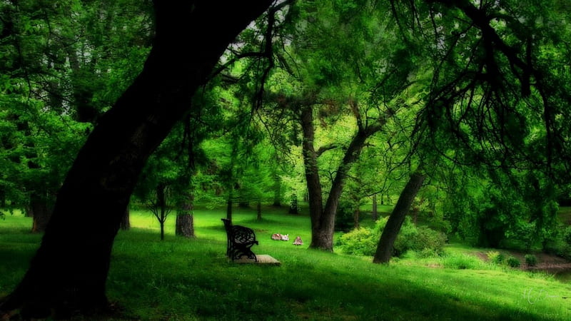 The Park Bench, rest, bench, spring, park, trees, tranquil, green, serene, summer, rabbits, bunnies, Firefox Persona theme, HD wallpaper