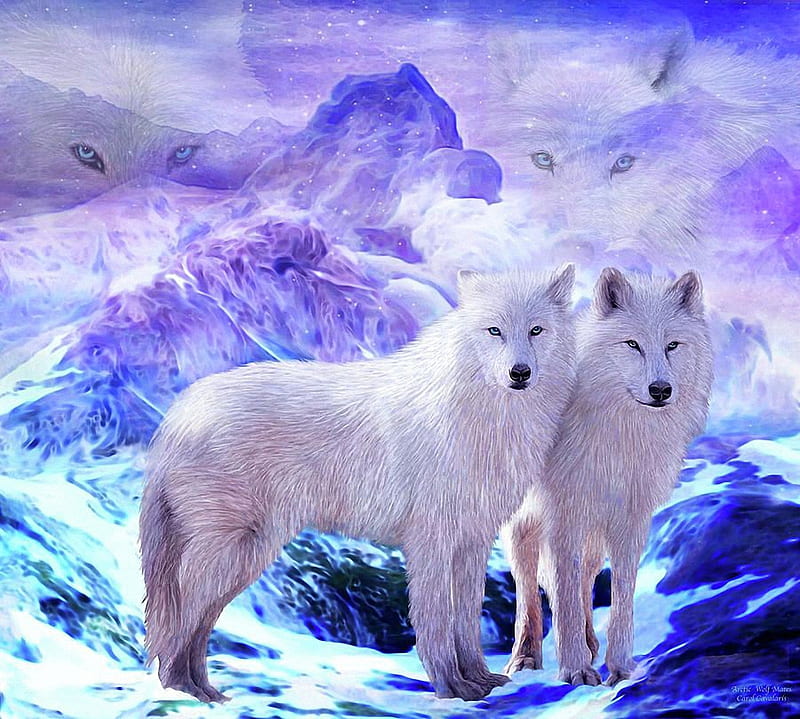 Lágrimas Monasterio sueño Dos lobos blancos, pintura, blanco, lobos, animales, Fondo de pantalla HD |  Peakpx