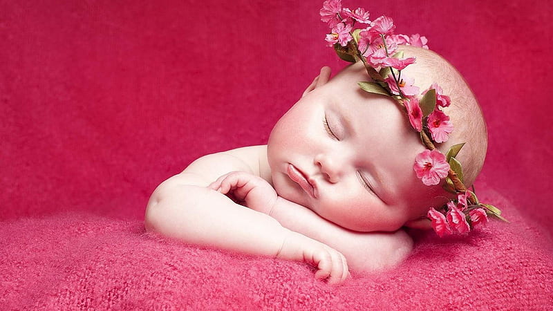 Cute baby is sleeping on red towel and having flower crown on head in red  background cute, HD wallpaper | Peakpx