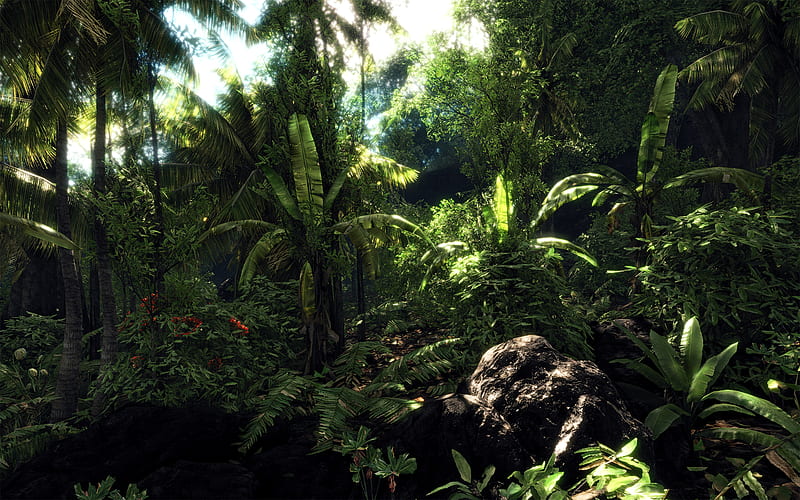 Crysis Jungle Scene Gaming Fps Crysis Jungle Crytek Pc Hd Wallpaper Peakpx