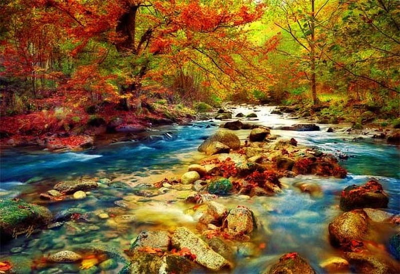 Gold spirit, fall, forest, river, leaves, HD wallpaper | Peakpx