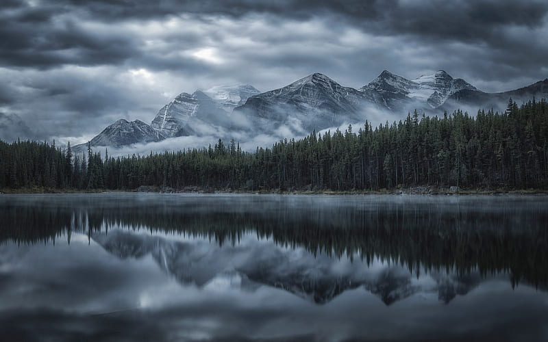 Herbert Lake, Alberta, morning, fog, mountains, mountain lake, forest, Banff National Park, Canada, HD wallpaper