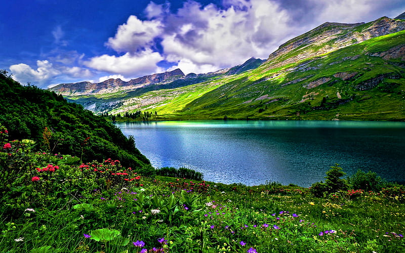 Engstlensee, summer, Lake Engstlen, Alps, mountains, R, beautiful nature, Bernese Alps, Switzerland, Swiss nature, HD wallpaper