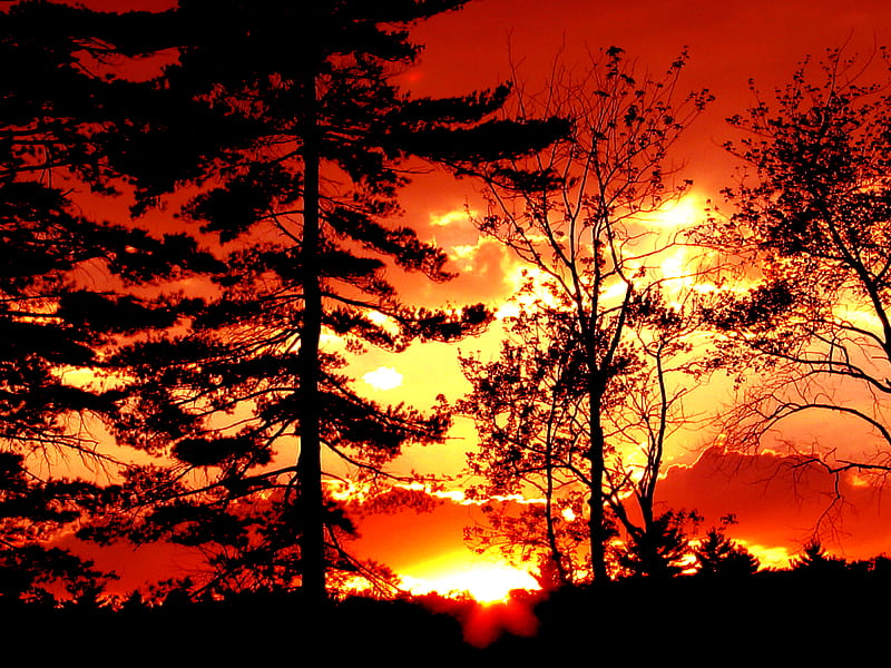 Sunset in Massachusetts, sunset, orange, night, dark, HD wallpaper