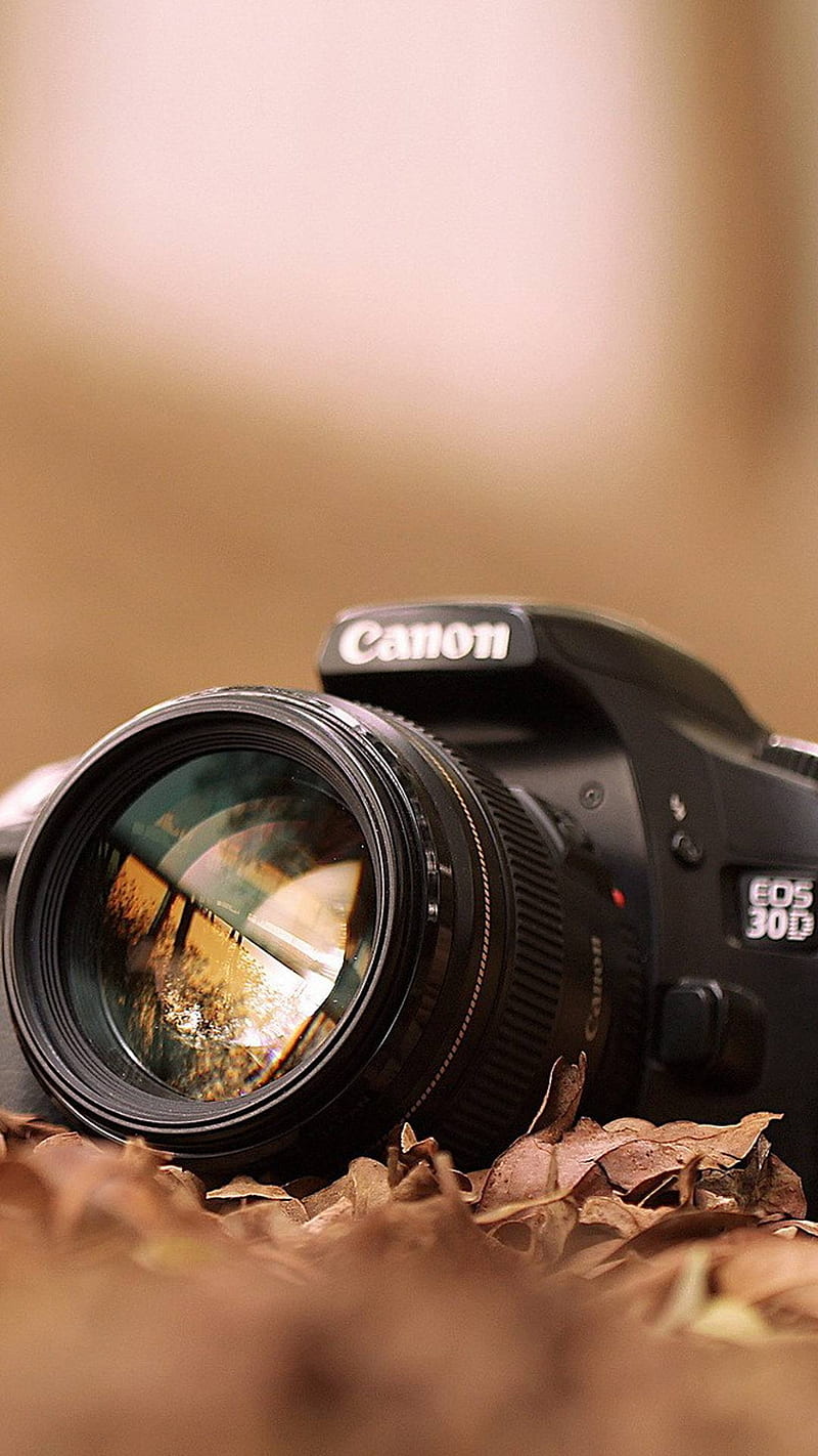Canon, cámara, grafía, botín, Fondo de pantalla de teléfono HD | Peakpx