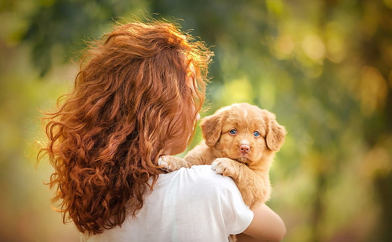 Girl with puppy, Nova Scotia duck tolling Retriever, redhead, woman, animal, cute, girl, green, puppy, dog, HD wallpaper