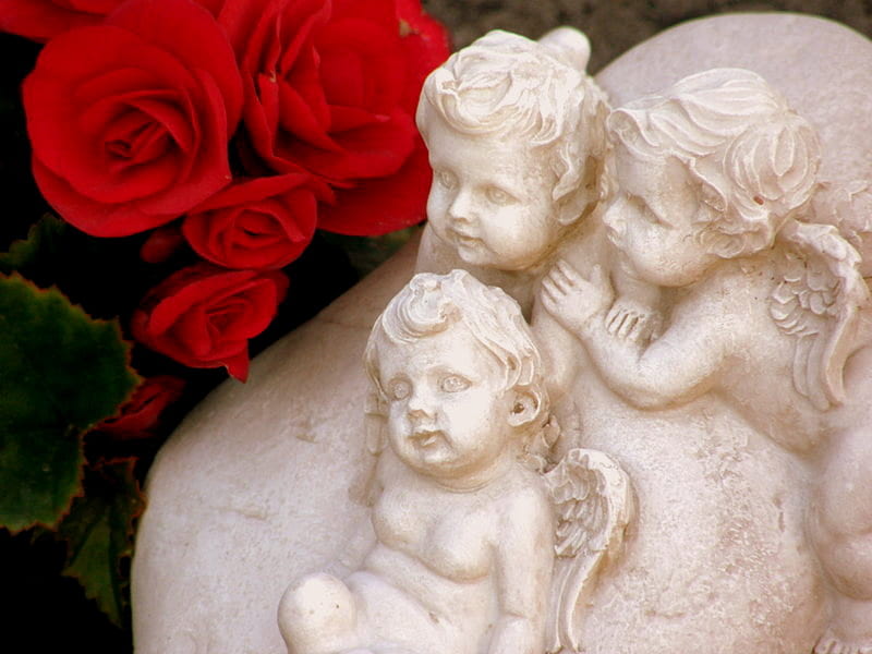 Cherubs, red roses, white angels, roses, angels, HD wallpaper