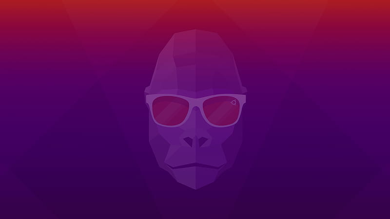Groovy Gorilla Ubuntu 20, HD wallpaper