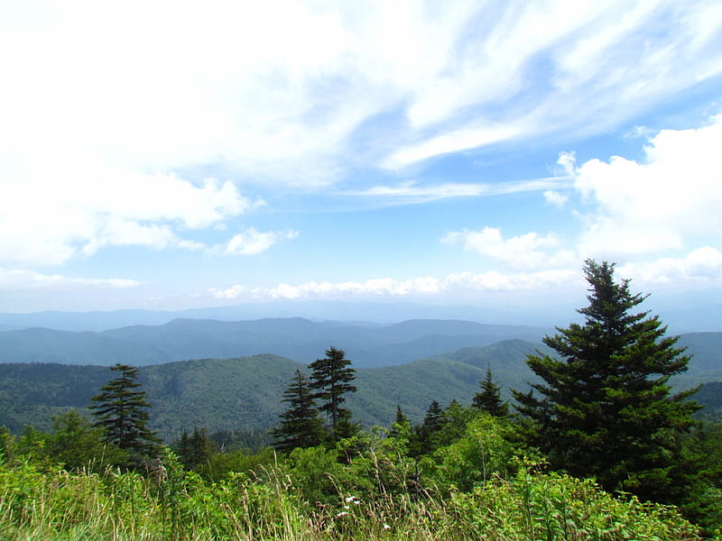 clingman's dome, blue sky, trees, clouds, mountains, HD wallpaper