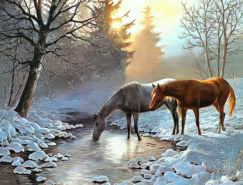 Horses in winter, erdo, festmeny, telen, horses, HD wallpaper | Peakpx