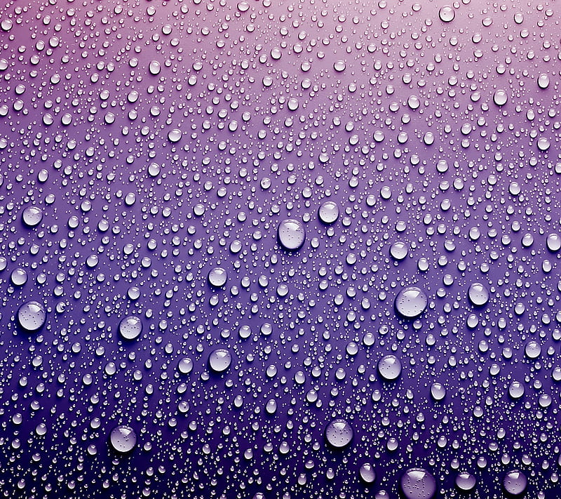 Drops, dew, rain, water, wet, HD wallpaper