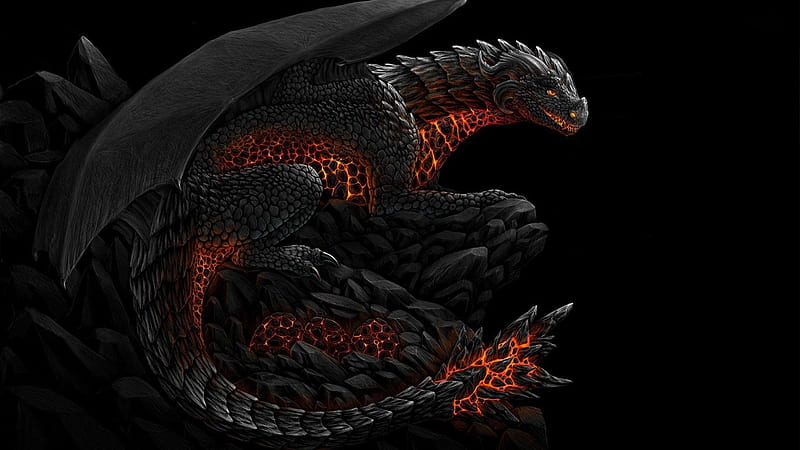Red and Black Dragon, Black and Gray Dragon, HD wallpaper