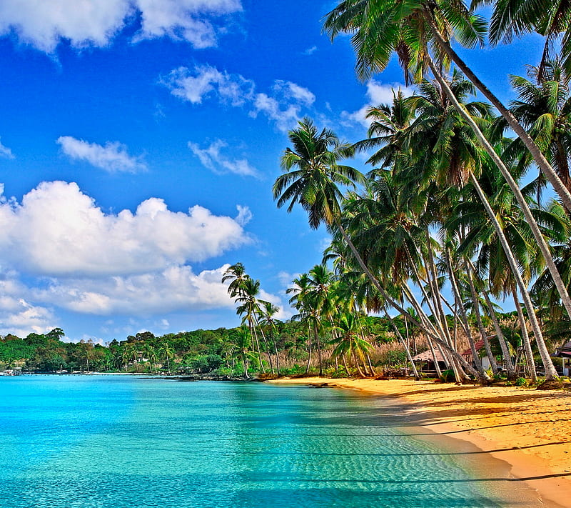 Tropical Beach, clouds, ocean, palmas, sand, sea, sky, HD wallpaper ...