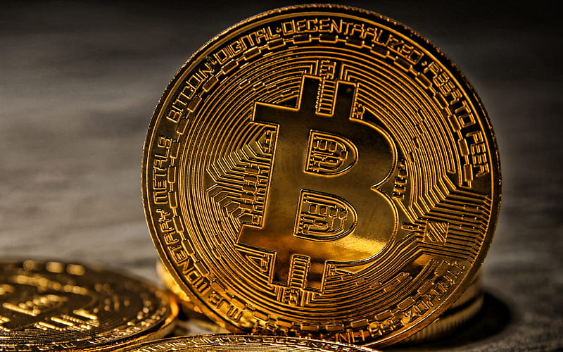 Bitcoin concepts, Bitcoin Gold Coin, cryptocurrency concepts, Bitcoin, finance concepts, business, HD wallpaper